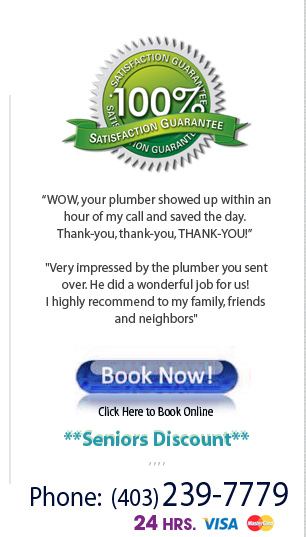 Crowfoot Plumbing Calgary testimonials