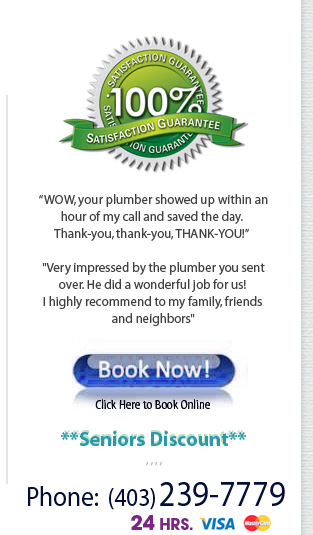 Calgary and area sump pump service